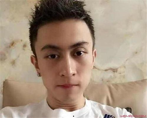 秦奋背景曝光,揭秘神秘富豪的崛起之路